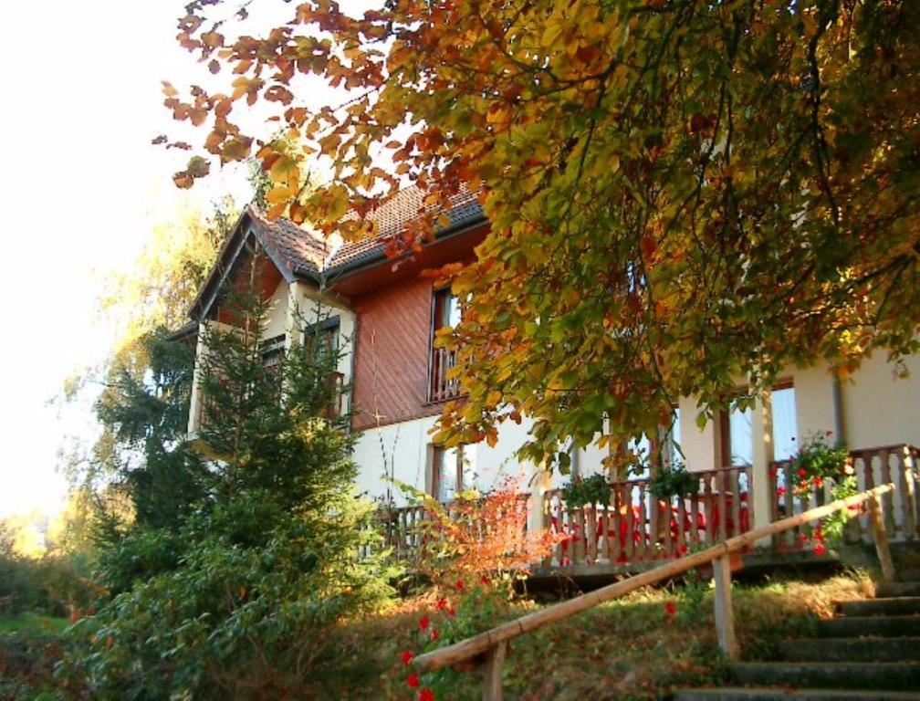 Le Chalet Luttenbach-pres-Munster ภายนอก รูปภาพ