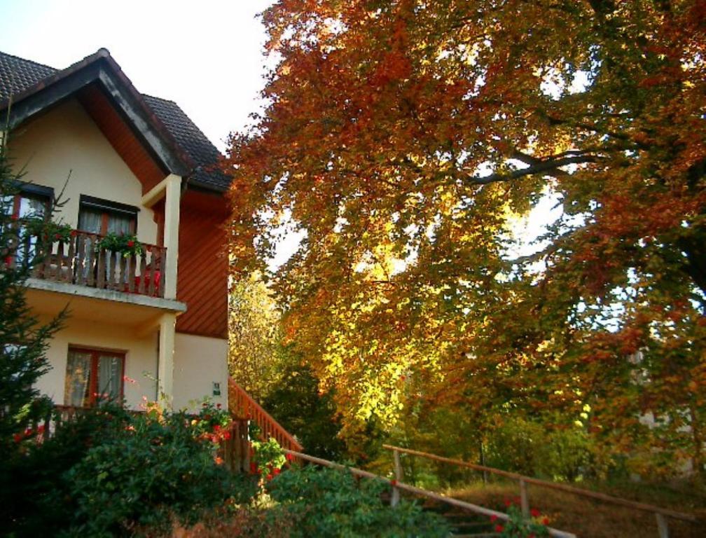 Le Chalet Luttenbach-pres-Munster ภายนอก รูปภาพ